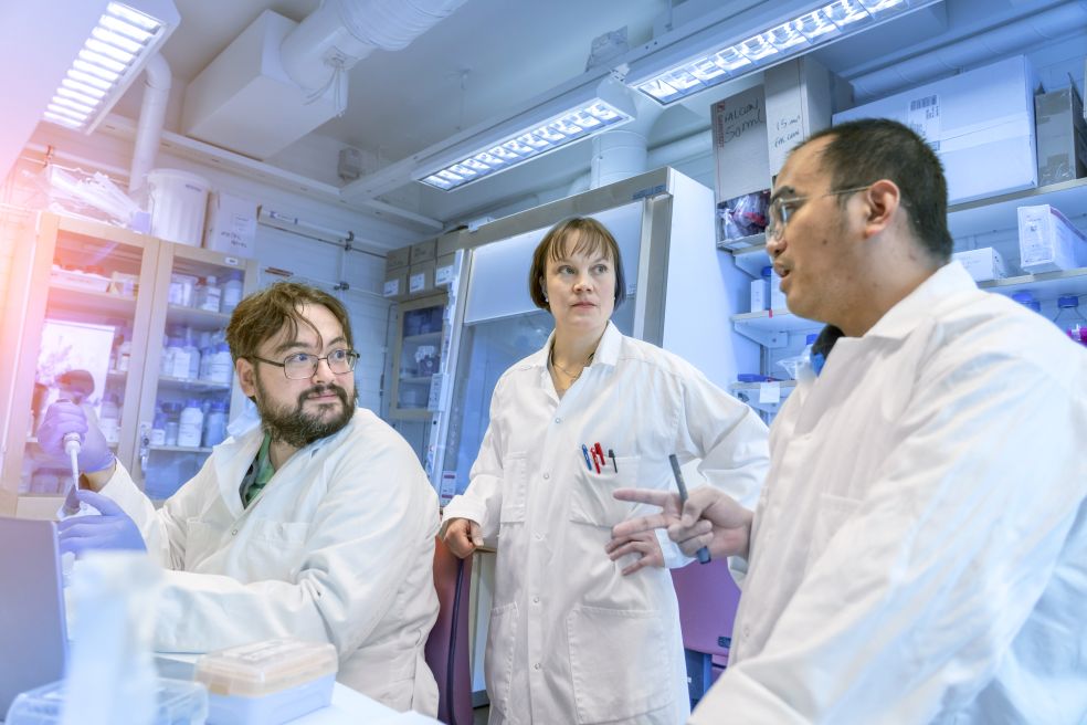 Knowledge of DNA damage in the cell’s power plant could pave the way for new medicines